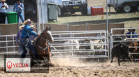 BungendoreRodeo2018-1908