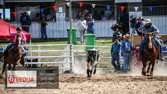BungendoreRodeo2018-2071