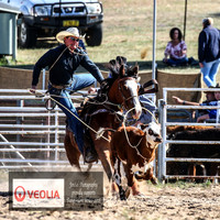 BungendoreRodeo2018-1153