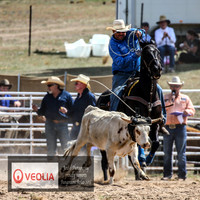 BungendoreRodeo2018-2105