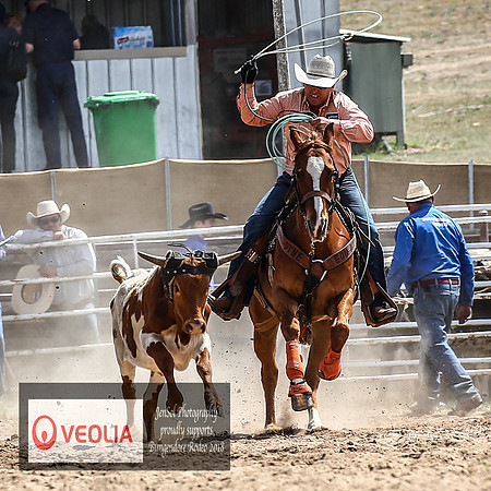 BungendoreRodeo2018-2363