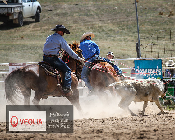 BungendoreRodeo2018-2432