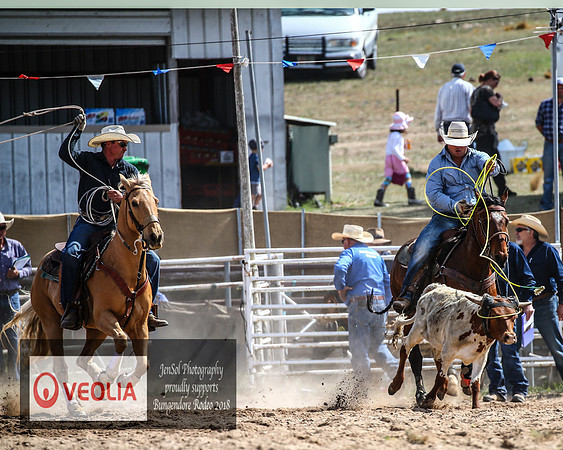 BungendoreRodeo2018-2061