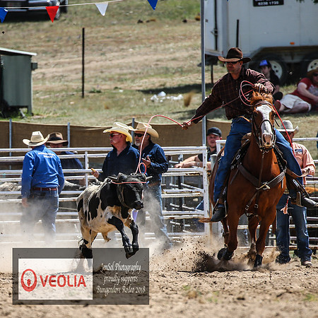 BungendoreRodeo2018-2435