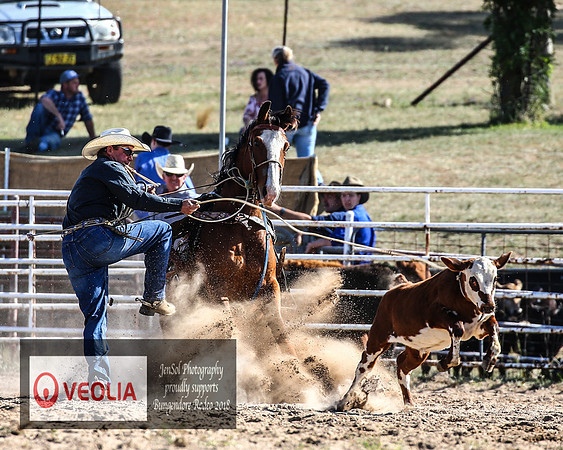 BungendoreRodeo2018-1156
