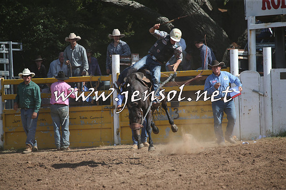 TaralgaRodeo2016_7972