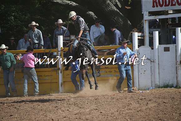 TaralgaRodeo2016_7953