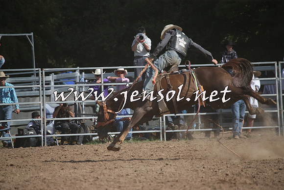 TaralgaRodeo2016_8122