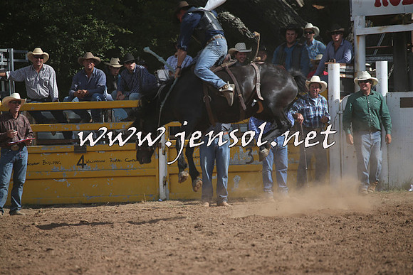 TaralgaRodeo2016_8179