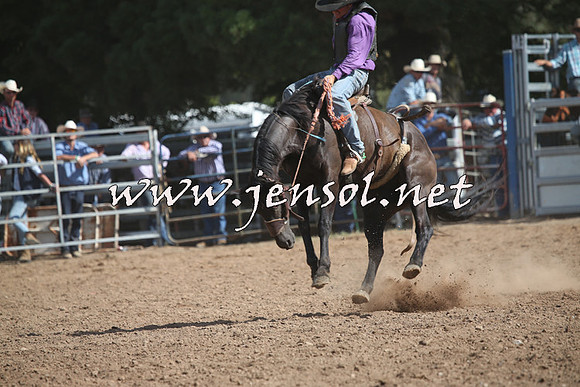 TaralgaRodeo2016_8053