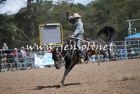 TaralgaRodeo2016_8009