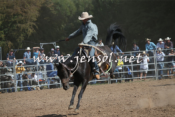 TaralgaRodeo2016_7993