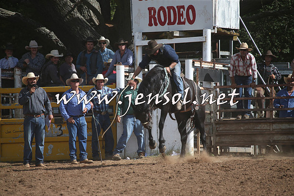 TaralgaRodeo2016_8157