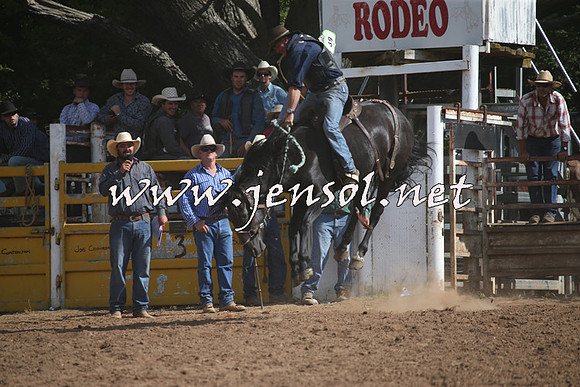 TaralgaRodeo2016_8159