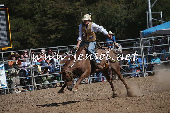 TaralgaRodeo2016_7939
