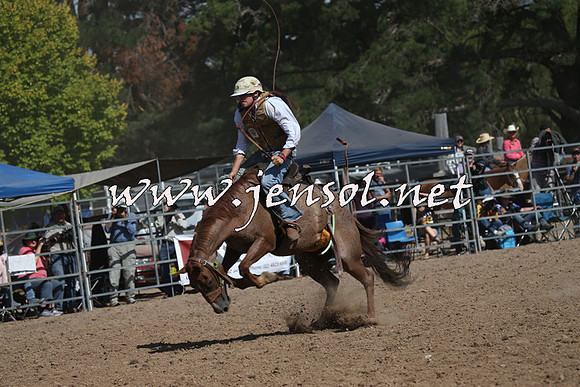 TaralgaRodeo2016_7948