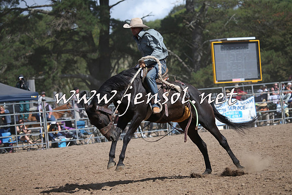 TaralgaRodeo2016_8008
