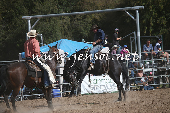 TaralgaRodeo2016_8210