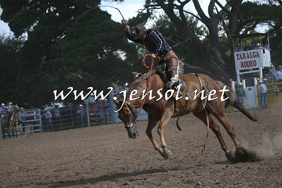 TaralgaRodeo2016_8028