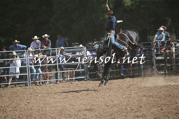TaralgaRodeo2016_8186