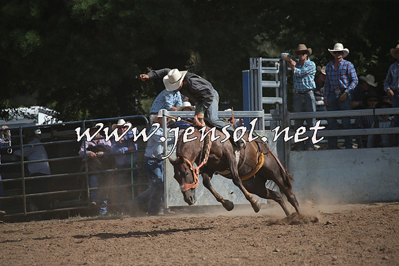 TaralgaRodeo2016_8106