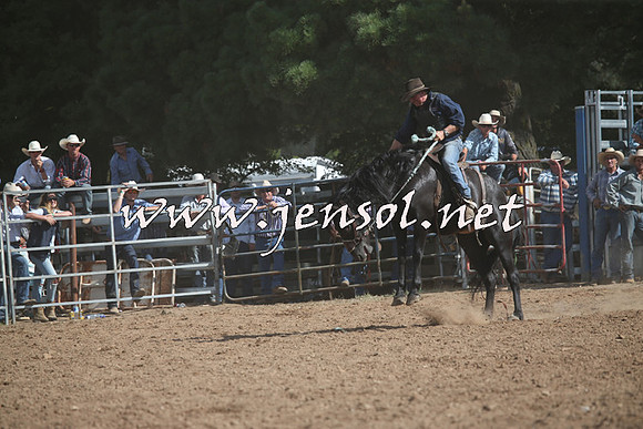 TaralgaRodeo2016_8189
