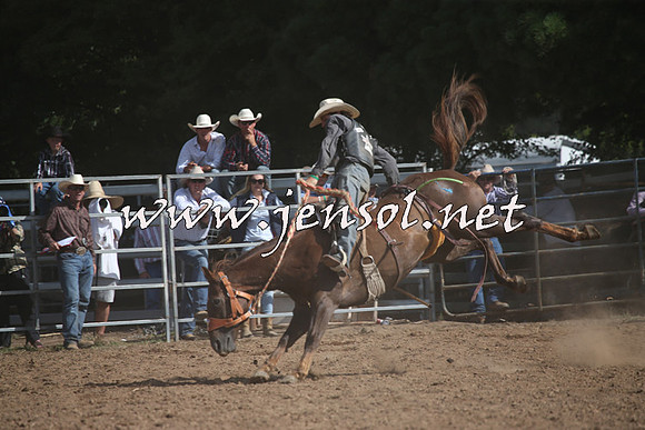 TaralgaRodeo2016_8099