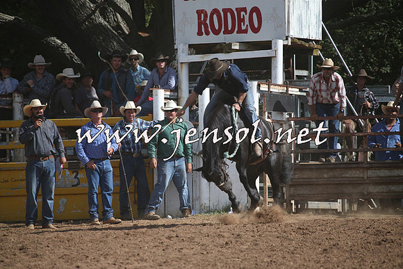 TaralgaRodeo2016_8156