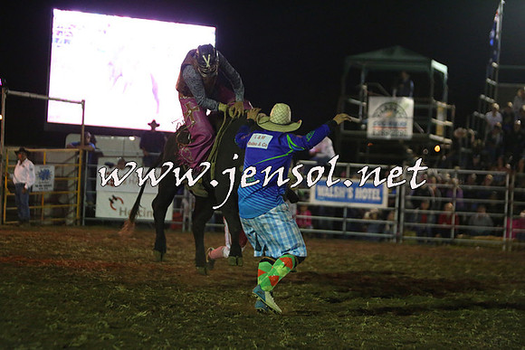 QueanbeyanRodeo2015_5534-1