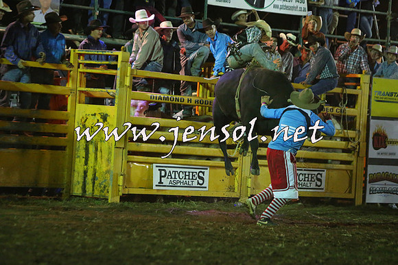 QueanbeyanRodeo2015_5740-1
