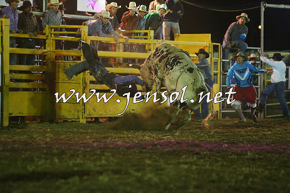 QueanbeyanRodeo2015_5558-1