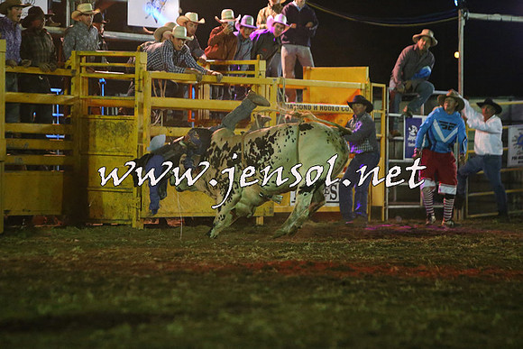 QueanbeyanRodeo2015_5554-1