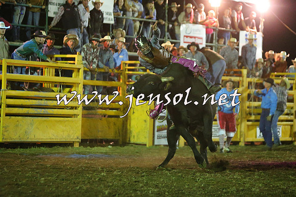 QueanbeyanRodeo2015_5513-1