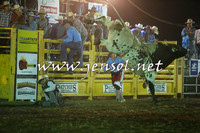 Open Bulls