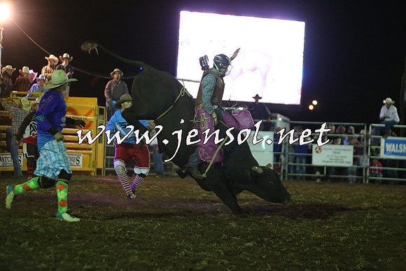 QueanbeyanRodeo2015_5531-1