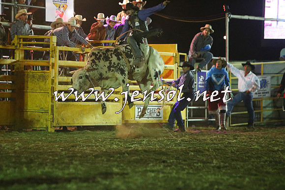QueanbeyanRodeo2015_5548-1