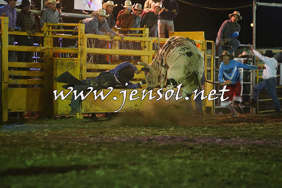 QueanbeyanRodeo2015_5559-1
