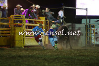 QueanbeyanRodeo2015_4739