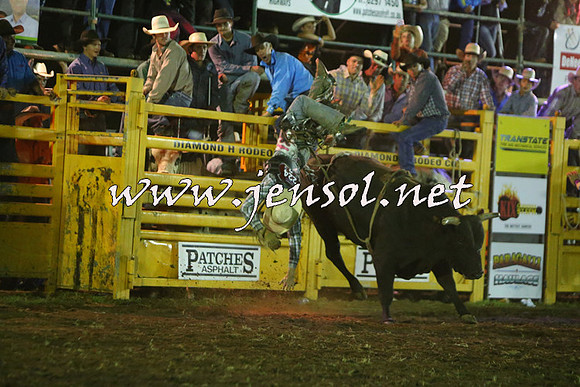 QueanbeyanRodeo2015_5748-1