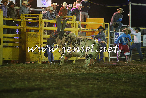 QueanbeyanRodeo2015_5552-1