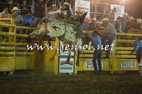QueanbeyanRodeo2015_5849-1