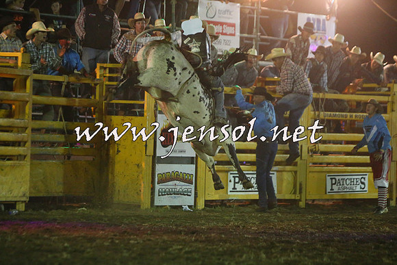 QueanbeyanRodeo2015_5845-1