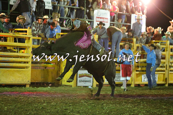 QueanbeyanRodeo2015_5357