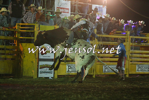 QueanbeyanRodeo2015_5852-1