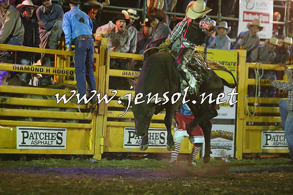 QueanbeyanRodeo2015_5722-1