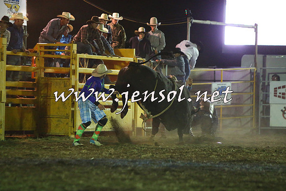 QueanbeyanRodeo2015_4721