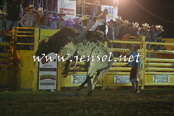 QueanbeyanRodeo2015_5851-1