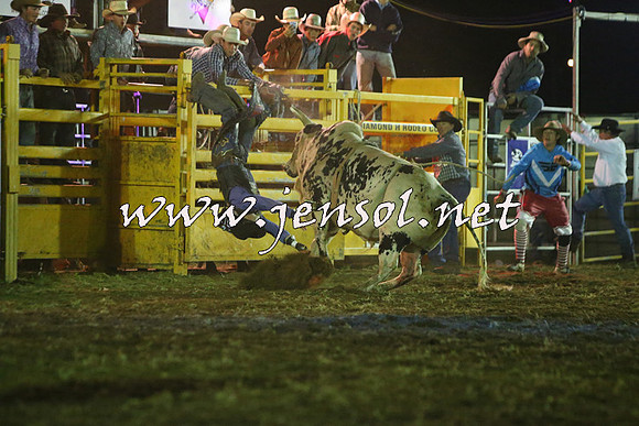 QueanbeyanRodeo2015_5560-1