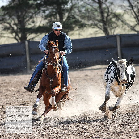 GoulburnCampdraft2018_4038