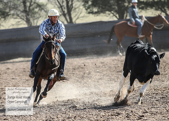 GoulburnCampdraft2018_4103